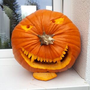 Tökfaragó verseny 1. kép
